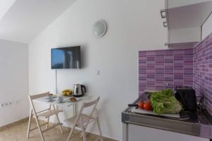 Kuchyňa alebo kuchynka v ubytovaní Studio Apartman Blue View