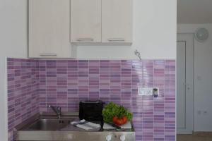 Kuchyň nebo kuchyňský kout v ubytování Studio Apartman Blue View + 20 fotografií