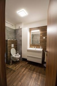 希歐福克的住宿－ÁbraApartman，一间带水槽、卫生间和镜子的浴室