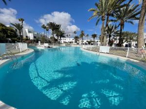 duży basen z niebieską wodą i palmami w obiekcie Oasis Beach Apartment w Corralejo