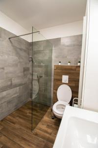 a bathroom with a toilet and a glass shower at ÁbraApartman in Siófok