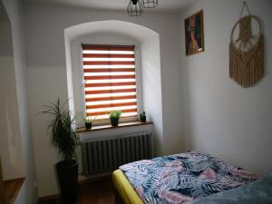 sypialnia z oknem z łóżkiem i grzejnikiem w obiekcie Srebrnogórski Zakątek w Srebrnej Górze