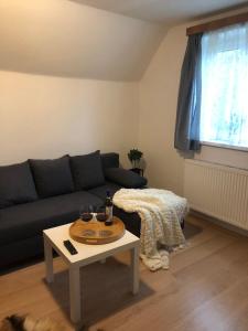 a living room with a black couch and a table at Apartmány Jevany in Jevany
