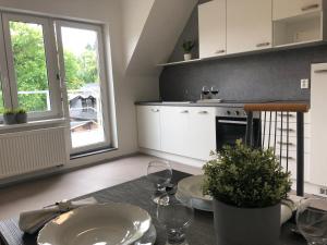 Kuchyň nebo kuchyňský kout v ubytování Apartmány Jevany