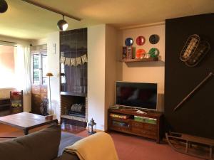 a living room with a couch and a flat screen tv at CHECK-IN CASAS Cerler 3F in Cerler