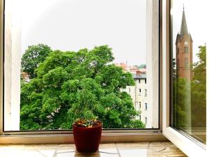Fotografia z galérie ubytovania ART mieszkanie blisko dworca PKP Walbrzych Miasto v destinácii Wałbrzych
