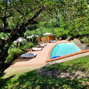 a swimming pool with chaises and chairs next to at B&B Rosso Baccara in Montevettolini