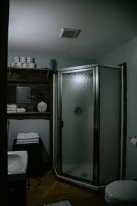 a bathroom with a shower and a toilet and a sink at Spellbound Farm in Union