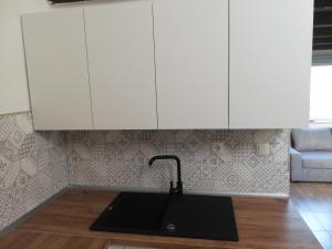 Kuchyň nebo kuchyňský kout v ubytování Holiday Home Nektar Park