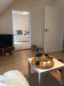 TV a/nebo společenská místnost v ubytování Apartmány Jevany