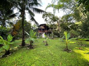 สวนหย่อมนอก Caoni Riverside Suites - Birders Paradise by the river, Ecuadorian Chocó