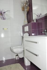 a bathroom with a white toilet and purple tiles at Apartment MARO in Senj +19 photos