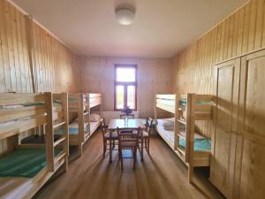 Un ou plusieurs lits superposés dans un hébergement de l'établissement SŠvP 1. máj