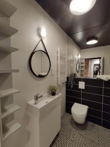 a bathroom with a toilet and a sink and a mirror at Red wall apartment in the Old Town in Gdańsk