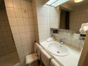 een badkamer met een wastafel en een spiegel bij De Post B&B Restaurant in Klimmen