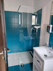 baño azul con ducha y lavamanos en Ubytování na vejminku, en Suchdol nad Lužnicí