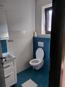 a small bathroom with a toilet and a sink at Ubytování na vejminku in Suchdol nad Lužnicí