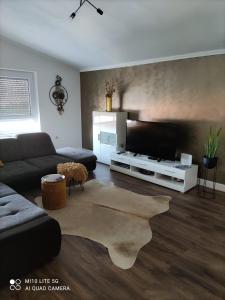 sala de estar con sofá y TV de pantalla plana en Apartment Marco, en Zadar
