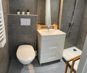 a small bathroom with a toilet and a sink at Location de la Carraire in Valensole