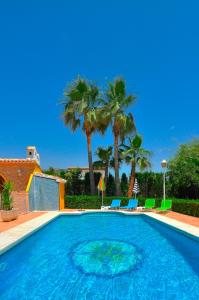 a large swimming pool with chairs and palm trees at Villa Mika in Jalón