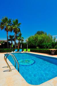 哈隆的住宿－Villa Mika，一座拥有蓝色海水和棕榈树的游泳池
