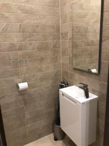 a bathroom with a toilet and a sink and a mirror at Oasis Residence in Hajdúszoboszló +16 photos