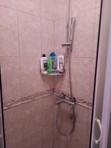baño con ducha y puerta de cristal en Studio Duet 2002 en Budva