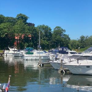 a bunch of boats are docked in a marina at Park Cottage Willows Riverside Park in Windsor