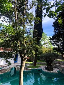 a swimming pool in a garden with trees at Villa Old Mill in Herceg-Novi