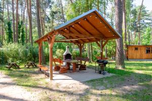 Ogród w obiekcie Ośrodek Moje El Dorado - domki letniskowe