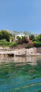 a body of water with a house in the background at Apartman Grospic 2 in Cesarica