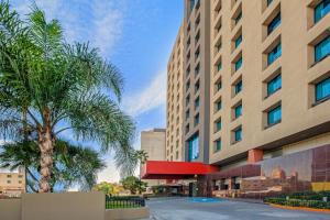蒙特雷的住宿－CHN Hotel Monterrey Centro, Trademark Collection by Wyndham，一座建筑前的棕榈树