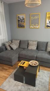 uma sala de estar com um sofá e uma mesa em ABV Apartments em Podgorica