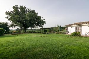 un patio con un árbol y una casa en Agriturismo il Poggio, en Vetralla