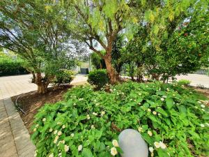 Giardino di Via Ugento Apartments - a pochi passi dalle spiagge