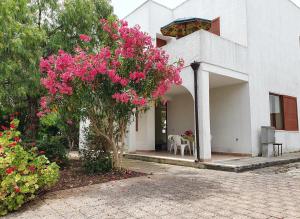 Giardino di Via Ugento Apartments - a pochi passi dalle spiagge