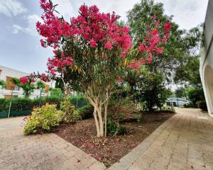 Giardino di Via Ugento Apartments - a pochi passi dalle spiagge