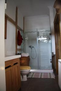 W łazience znajduje się toaleta i przeszklony prysznic. w obiekcie Stara Szkoła Architekci w mieście Jagodne Wielkie