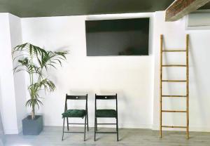 two chairs and a plant in a room at Luxury Pintoreria Vitoria in Vitoria-Gasteiz