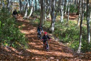 Fotografie z fotogalerie ubytování Madarao Farm v destinaci Nakano + 31 fotografií