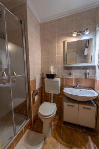 een badkamer met een toilet, een wastafel en een douche bij VIP Apartman Balatonföldvár in Balatonföldvár