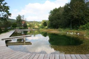 a pond with a bench on a wooden deck at Mitten in der Welt - GH Roither in Herzogsdorf