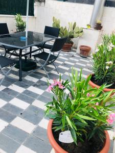 Κήπος έξω από το Casa Dolce Casa La Terrazza +25 φωτογραφίες