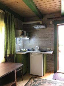 a small kitchen with a stove and a sink at садиба "У Наталії" in Tatariv