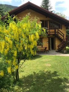 a log cabin with a yellow tree in front of it at садиба "У Наталії" in Tatariv