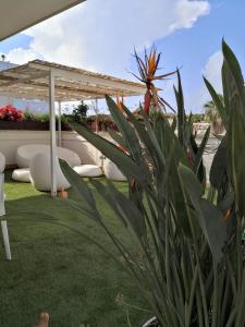 Gallery image of La Casa del Turista in Gallipoli