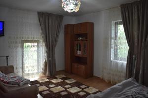 a living room with a couch and two windows at Pensiunea Casa Mădă in Baia de Fier