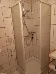 a shower with a glass door in a bathroom at Ferienwohnung Tremmbach in Salzwoog