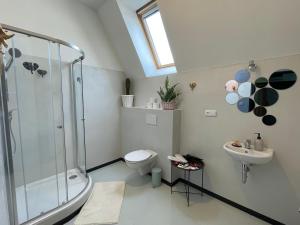a bathroom with a shower and a toilet and a sink at Penzion Villa Amélie in Mladá Boleslav +54 photos