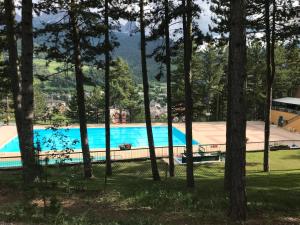 Басейн в или близо до Appartement Hauteur Barcelonnette Vue Exceptionnelle